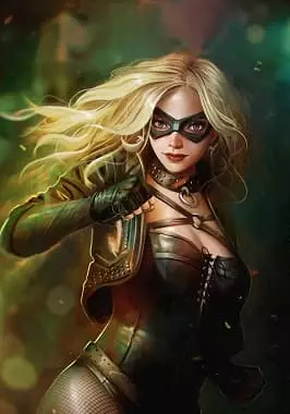 Black Canary (Character) - Foto, Green Arrow Wife, "Ligue of Justice", förmågor